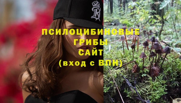 винт Богородск